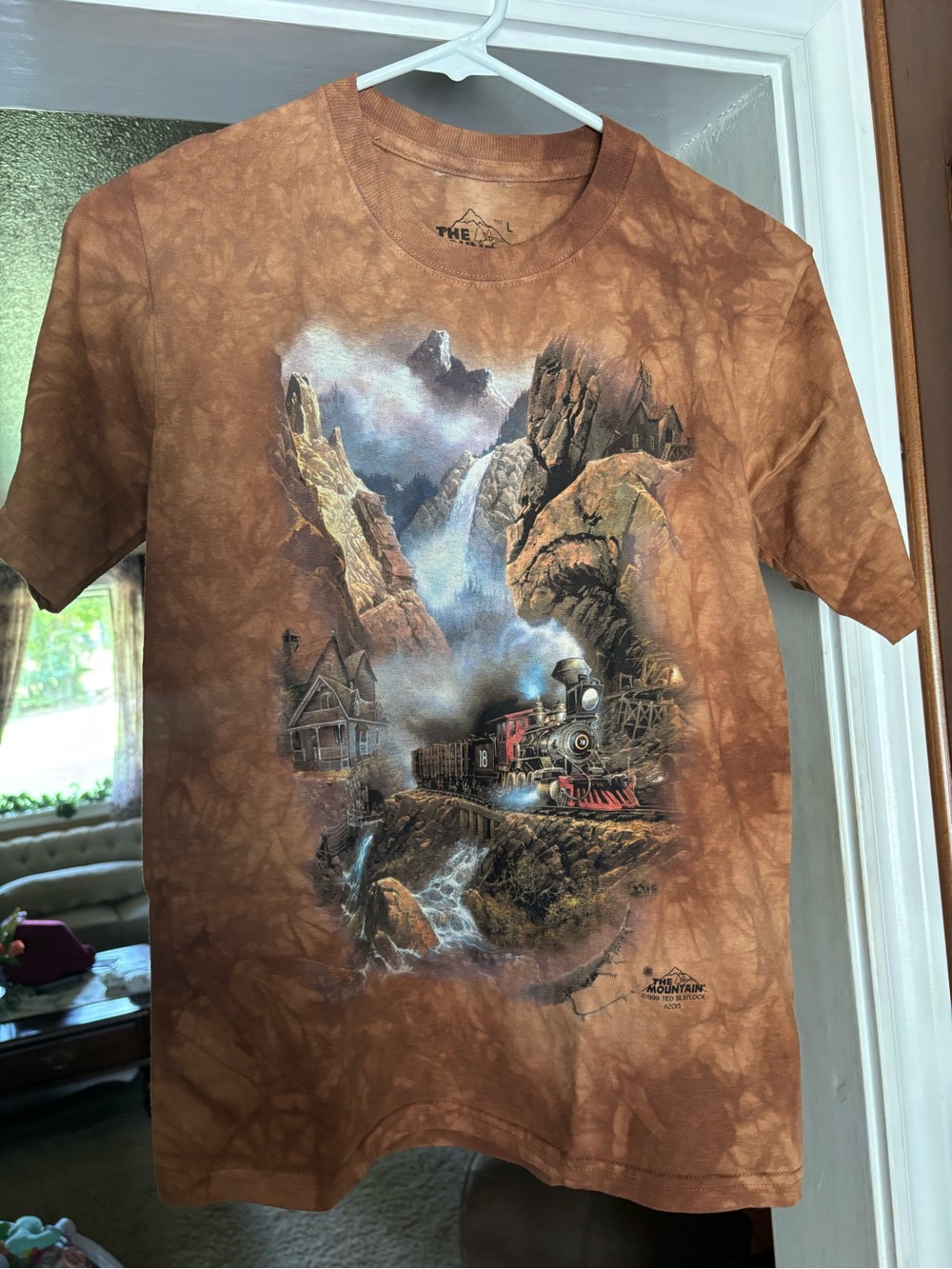 The Mountain Brown Tie-Dye Scenic Train Graphic Tee